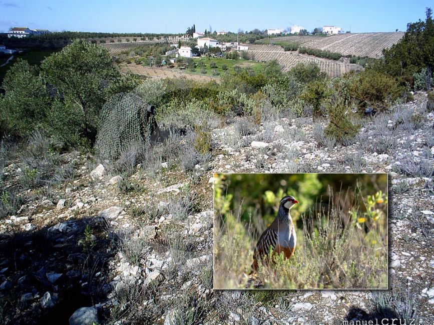 Imagen 24 de la galería de 